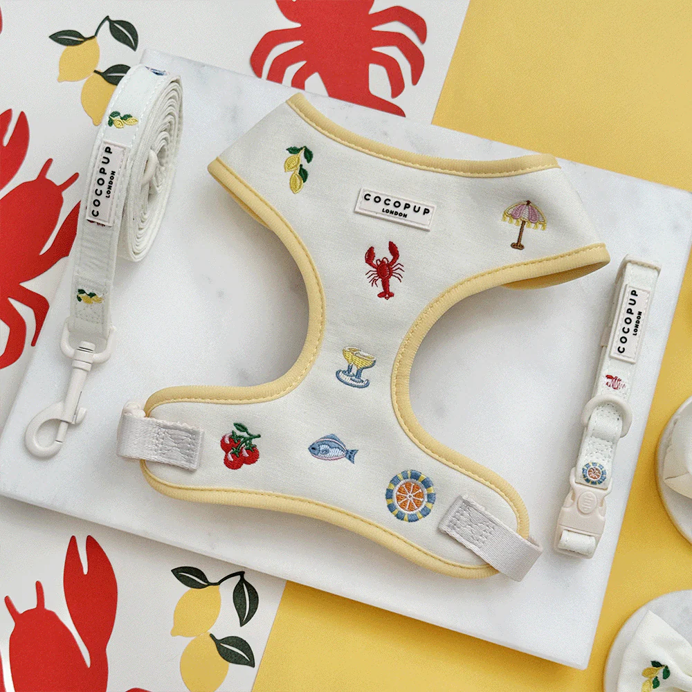 NEW IN EXCLUDED (Excludes Pup Plaid / theo /coats/ robes/ rucksacks/ dog beds/ tumblers/ id tags etc)